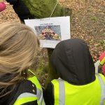 Students reading an information sign on a tree.